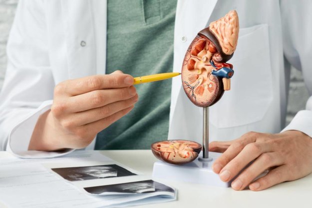 Where To Find A General Urologist in Virginia Where To Find A General Urologist in Virginia